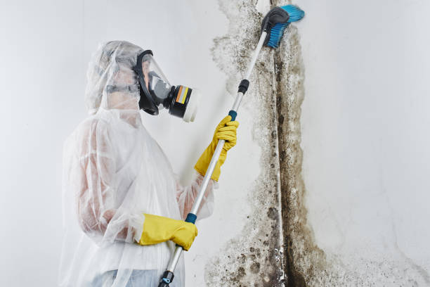 Crawl Space Mold Removal in Mountain Road, VA