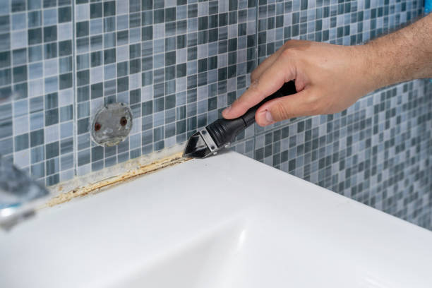 Best Mold Removal Company Near Me  in Mountain Road, VA