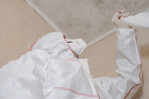 Mold Testing and Removal in Mountain Road, VA