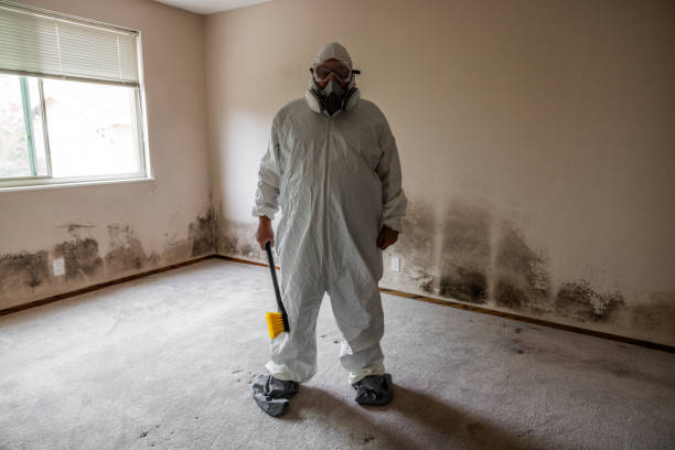 Best Crawl Space Mold Removal  in Mountain Road, VA
