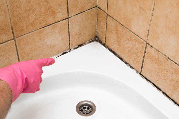 Best Residential Mold Removal  in Mountain Road, VA